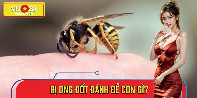 Giải Mã Bị Ong Đốt Đánh Đề Con Gì? Con Số May Mắn Hôm Nay