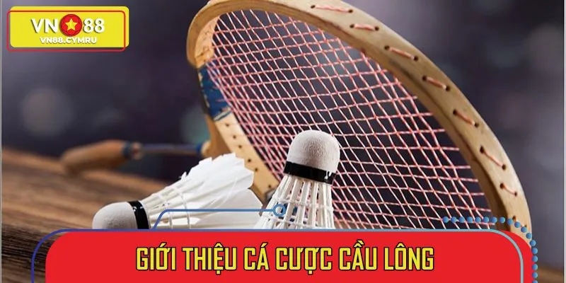 Tổng quan về sân chơi cá cược cầu lông